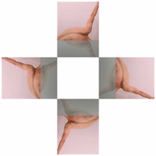 body 360°