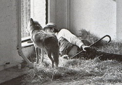 joseph Beuys -action